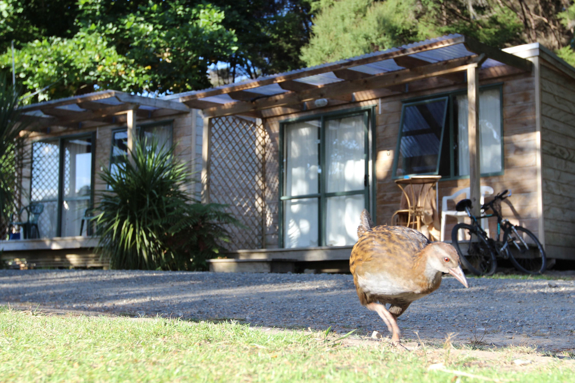 Russell-Orongo Bay Holiday Park Eksteriør bilde